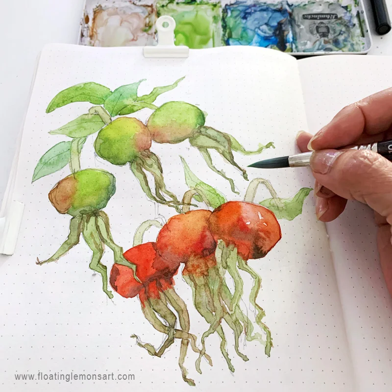 Rose Hip Sketch by Mariana: Floating Lemons Art