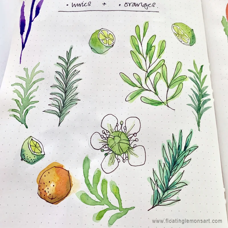 Herbs and Citrus watercolour sketches by Mariana: Floating Lemons Art