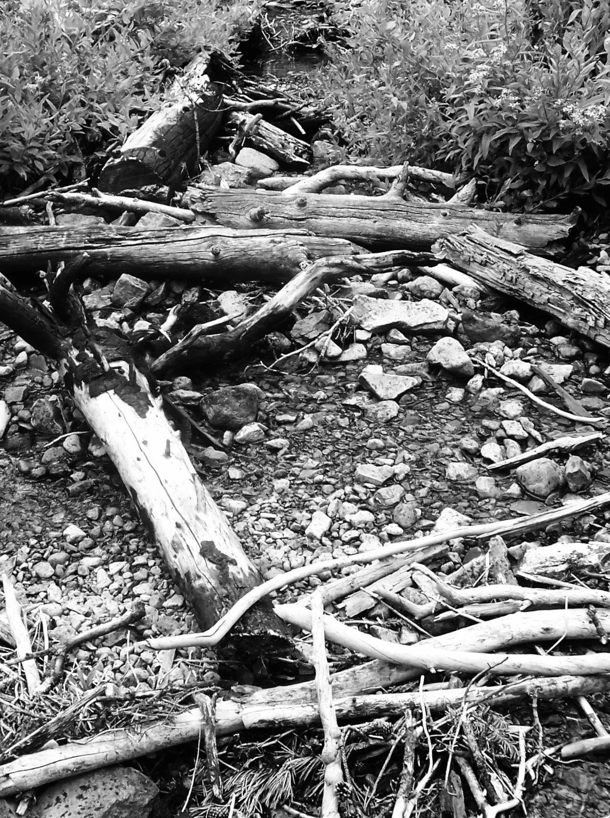 100_9148.jpg