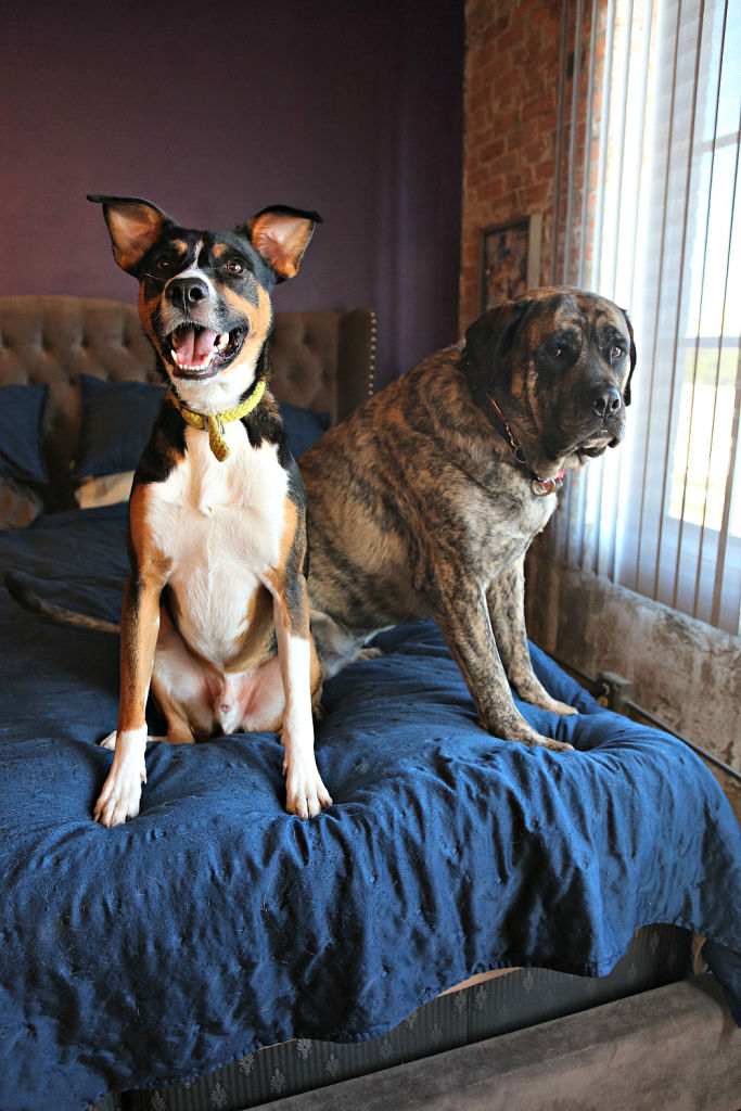 Ziggy Stardust on the left & Dolly Parton on the right - Look at those faces!