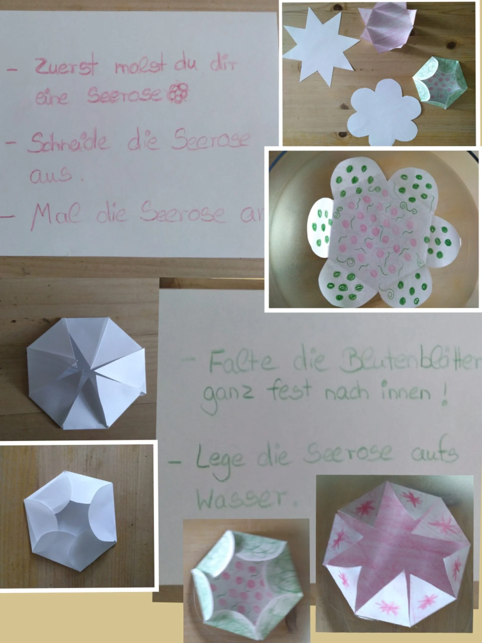 Seerosen Aus Papier Kindergarte Schillerstrasse
