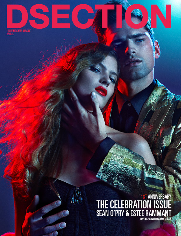 DSECTION-MAGAZINE-the-celebration-issue-with-SEAN--copie-1.jpg.png