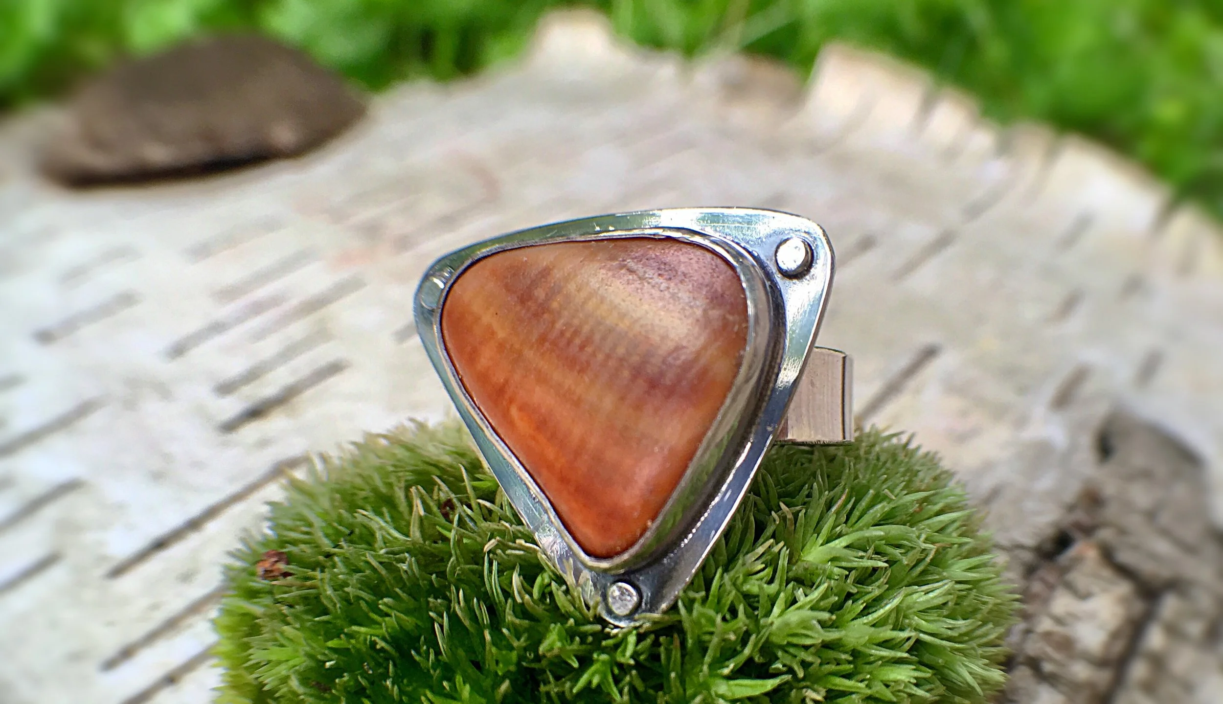 triangle shell 1.JPG