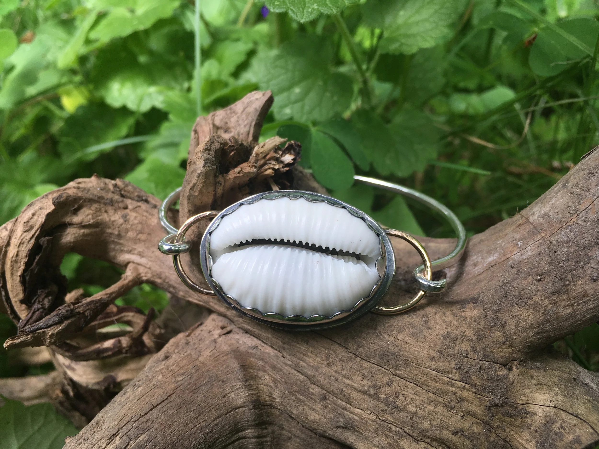 cowry cuff 1.JPG
