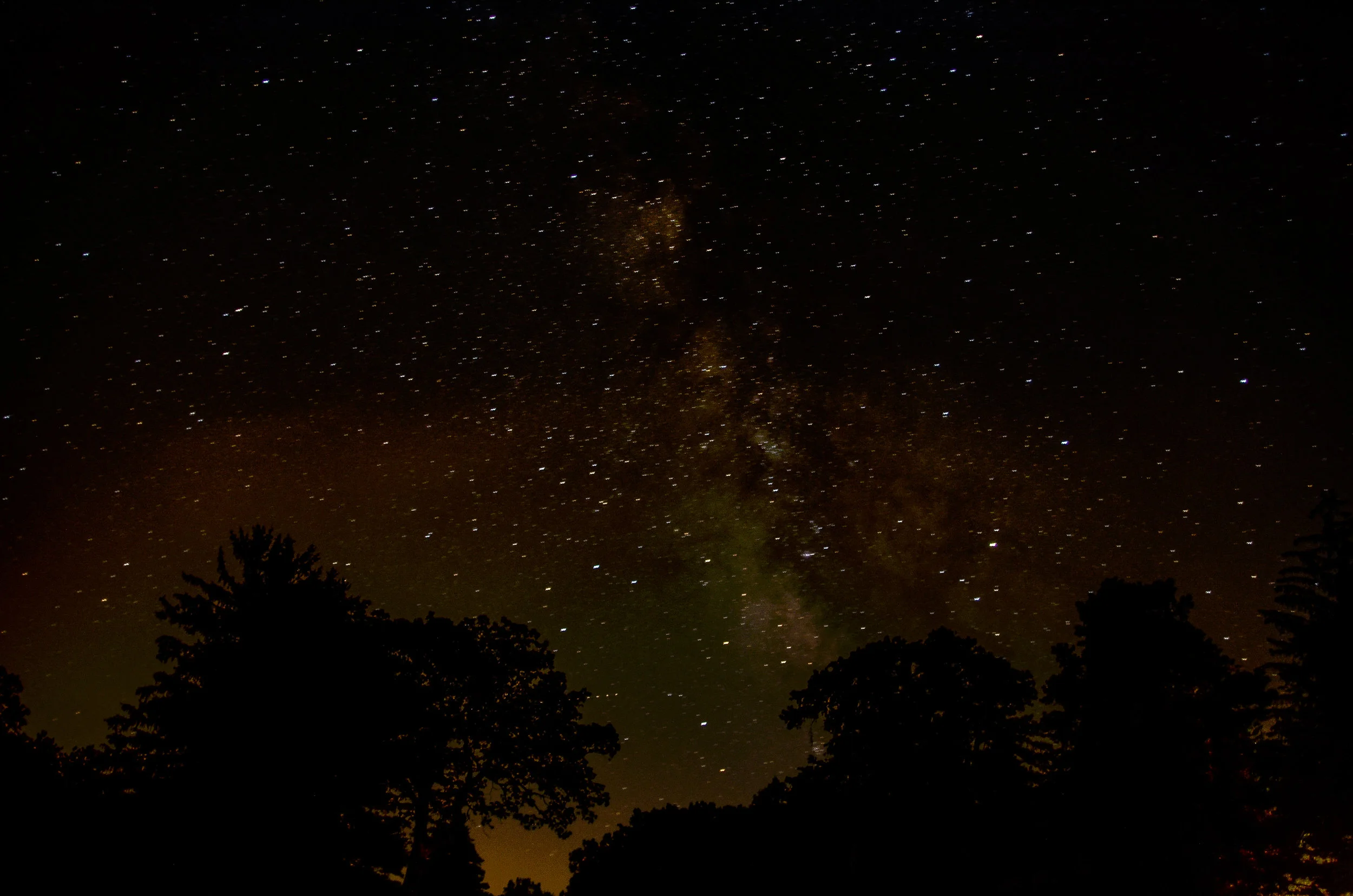 DSC_3865.jpg