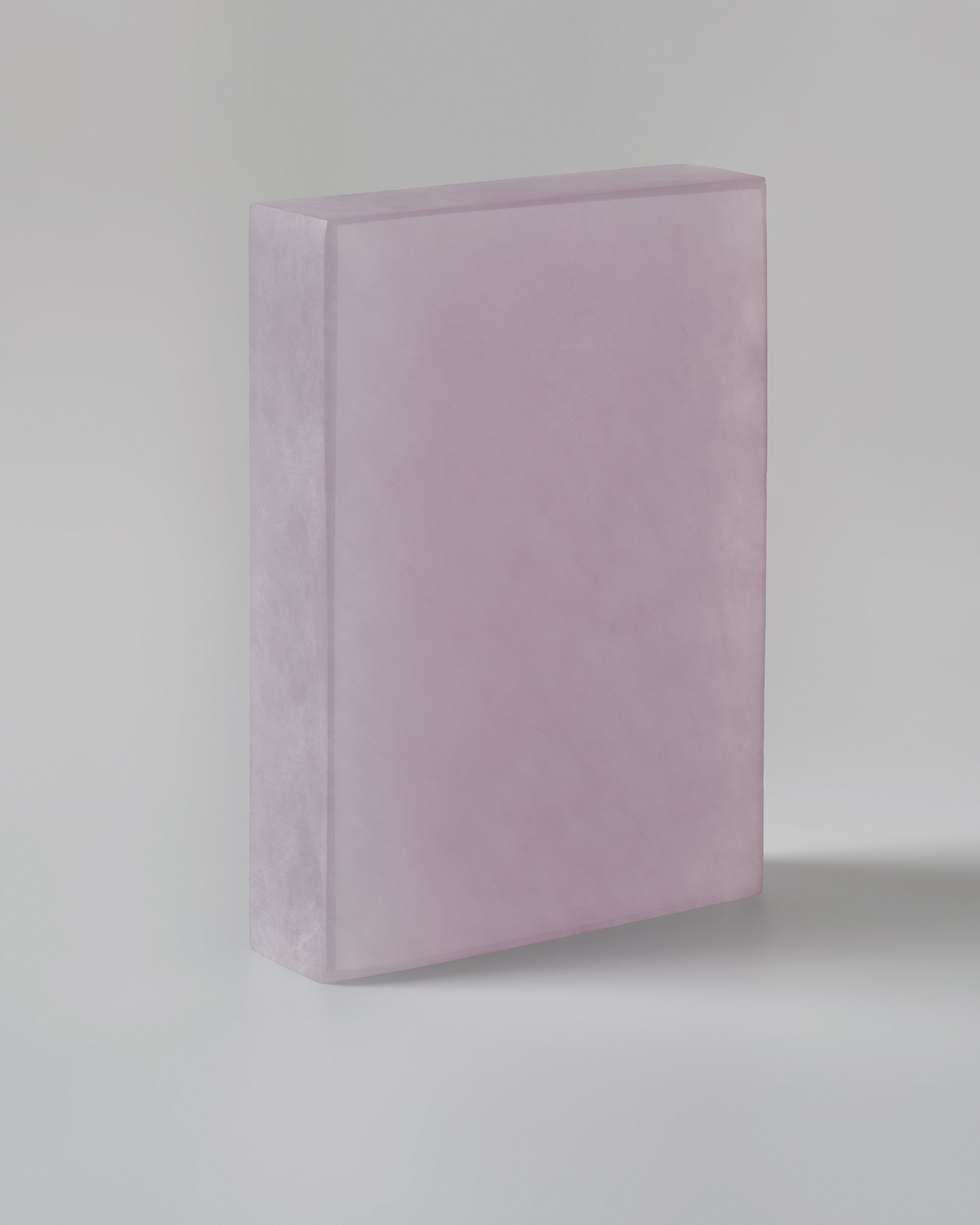 04082025_PLASTICIET_001.jpg