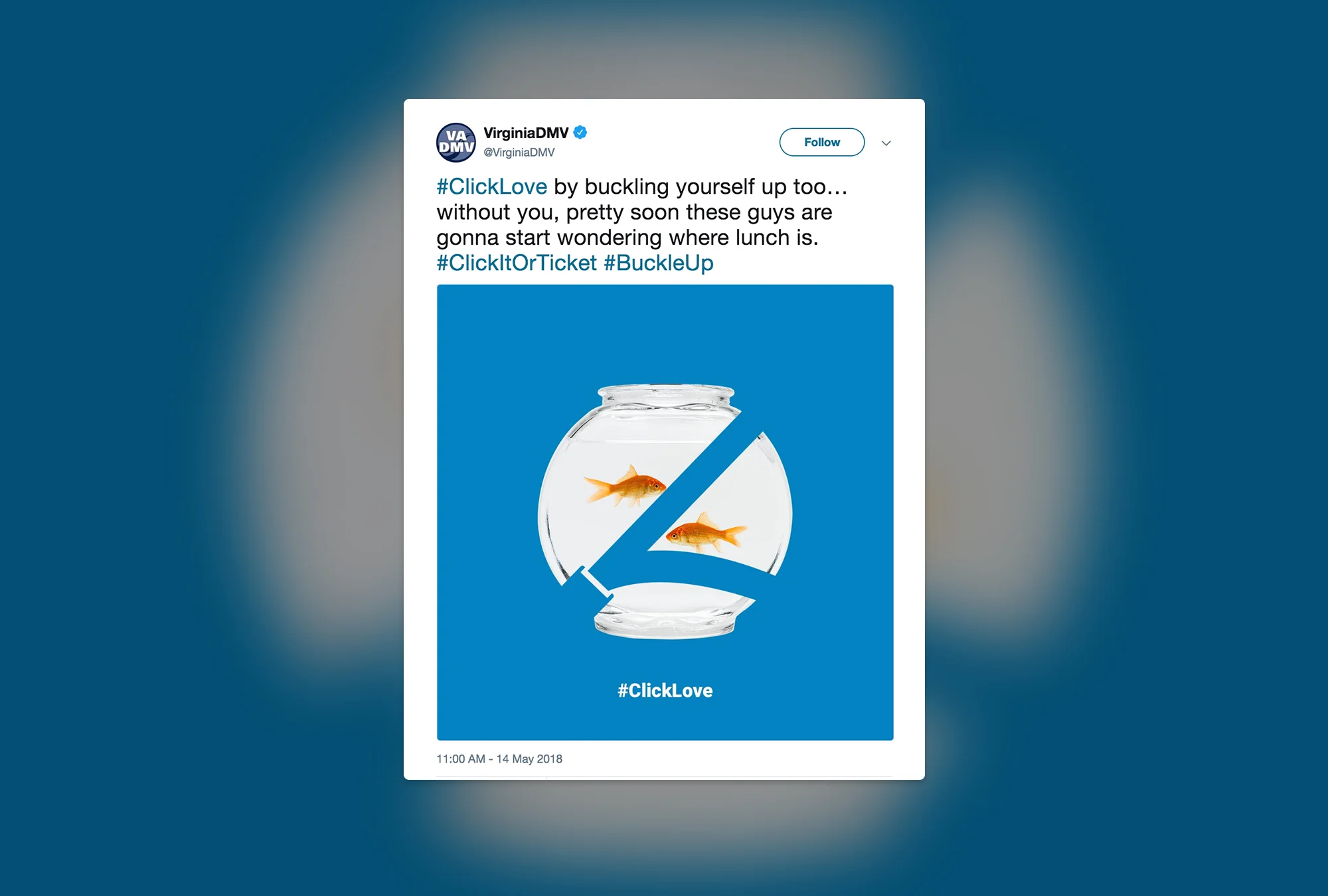 DMV_Tweet.jpg