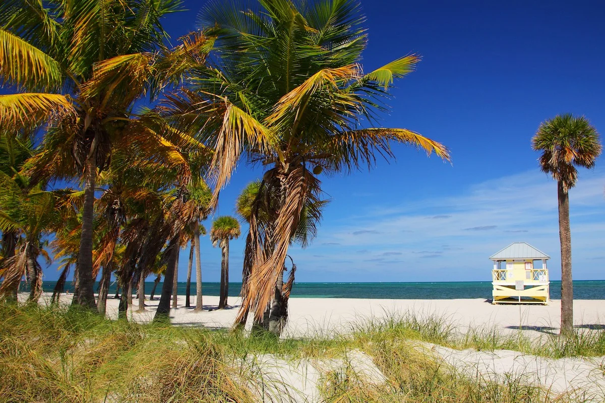 crandon-park-lifeguard.jpg