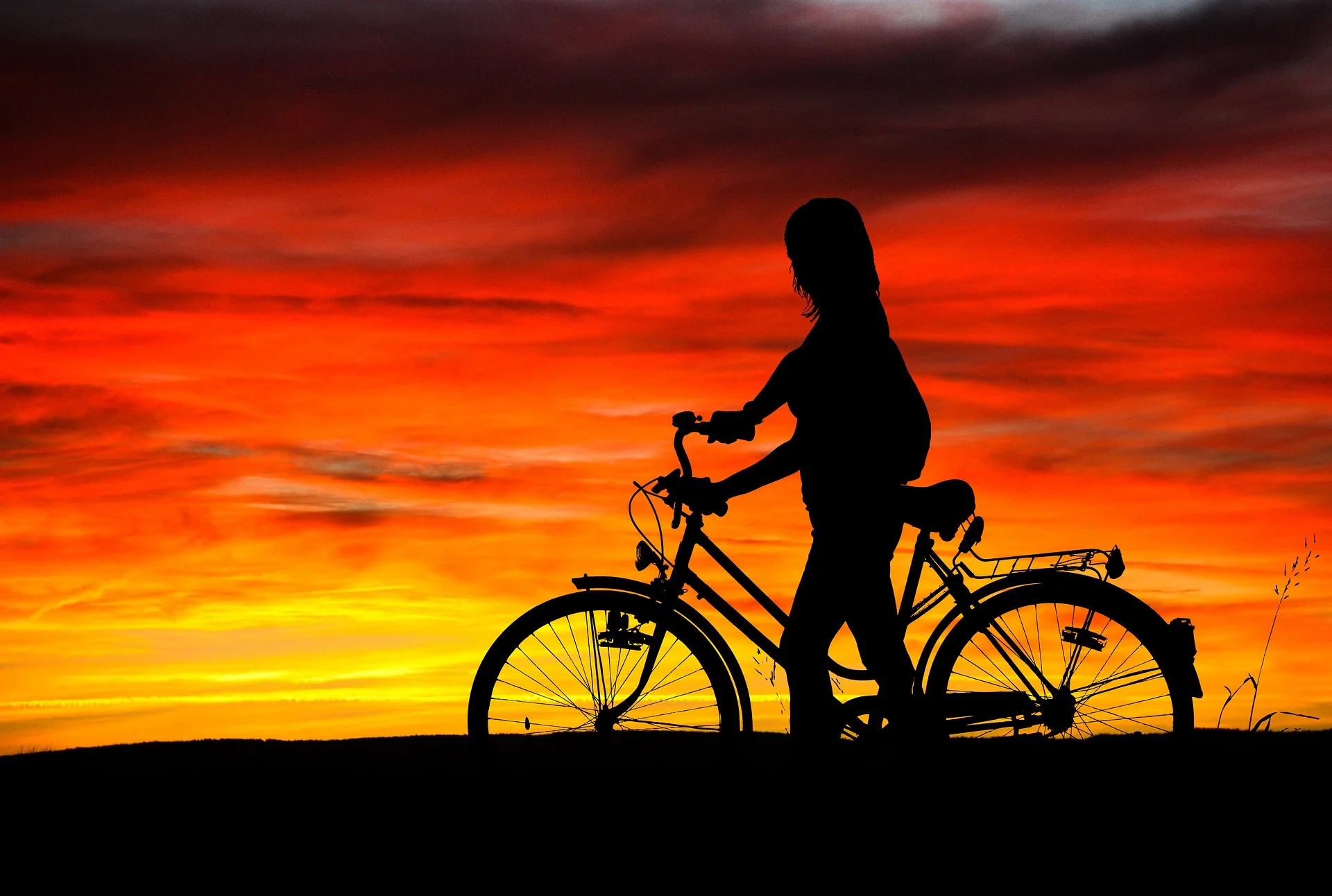 sunset-2374412_1920.jpg