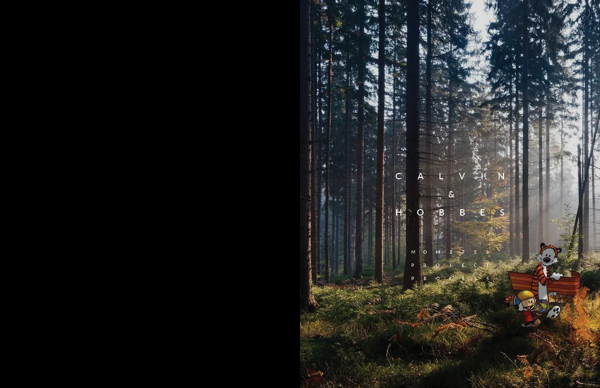 KalleThomas_Project_06_CalvinHobbes_BM.jpg