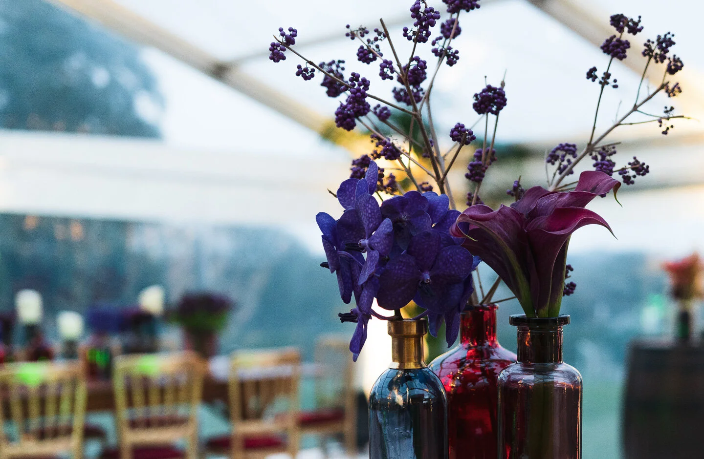 Wrapped in warm shades