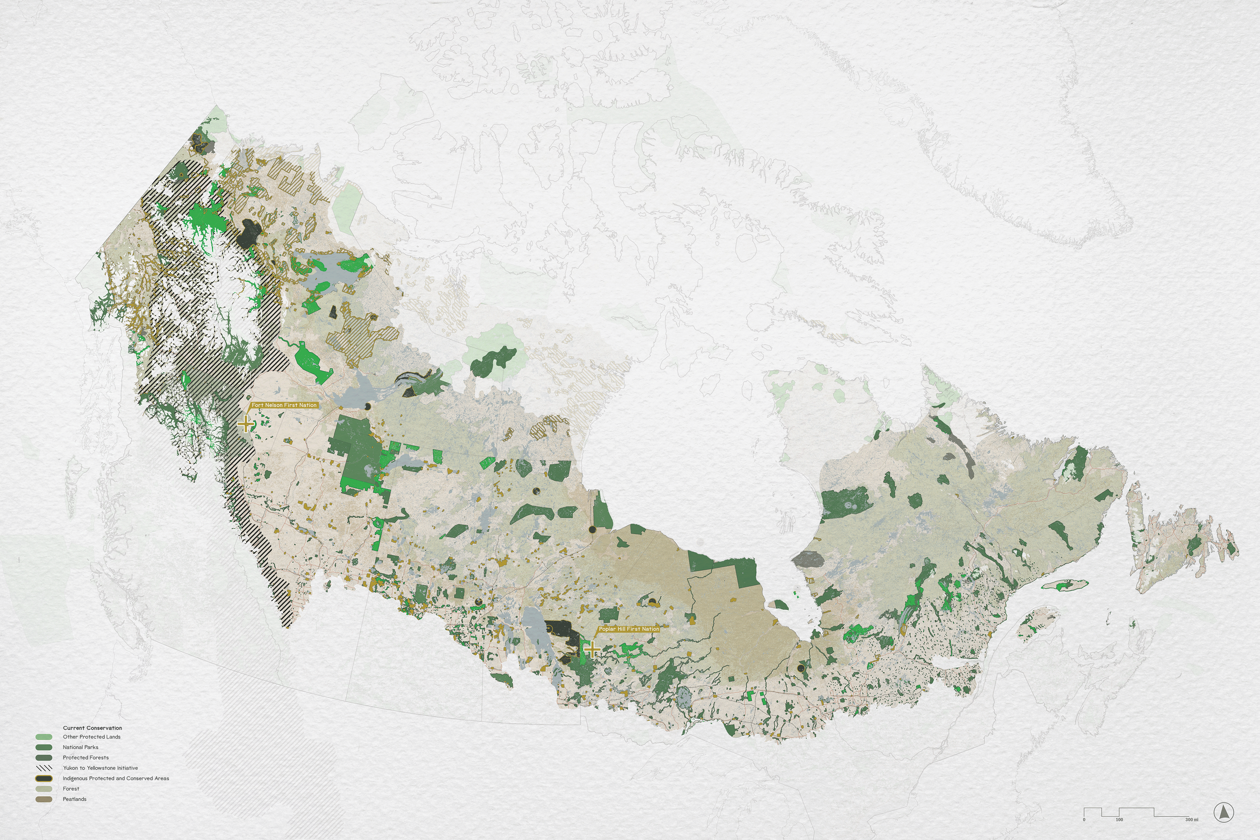 Current Conservation