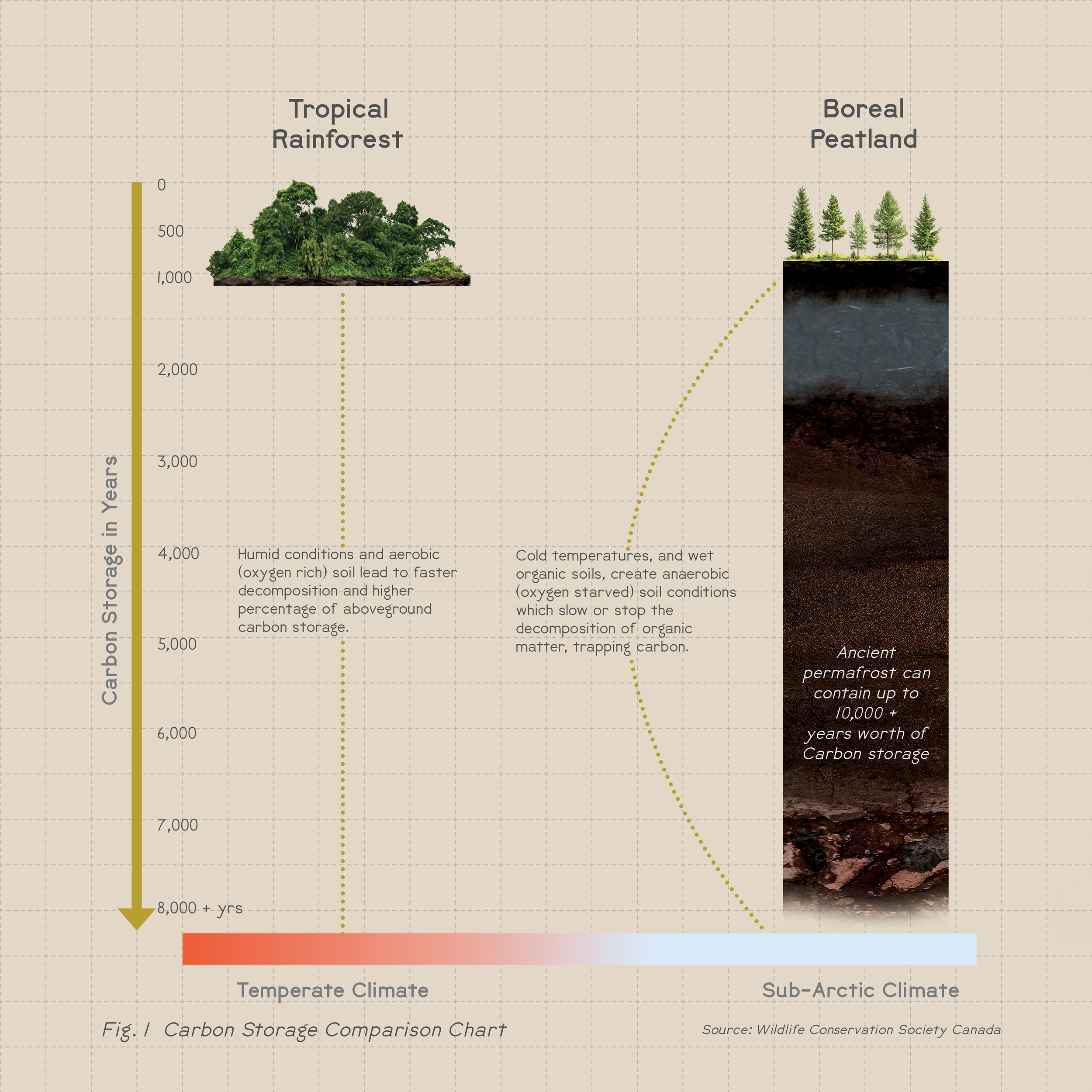 Carbon-Storage-Comparison.png
