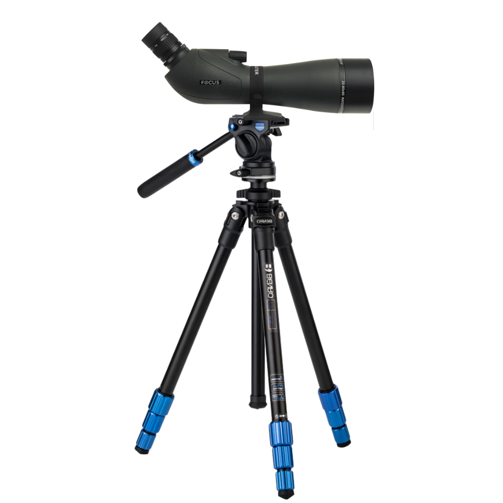 TSL08 S2CH FOCUS WP SANS ICONE.png