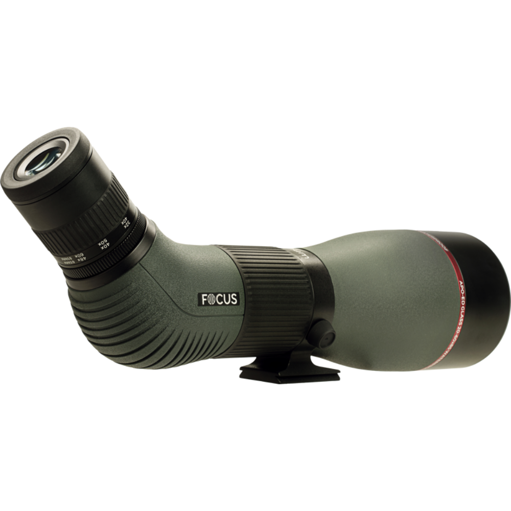FOCUS_OptimumAPOED_20-60x85 2.png
