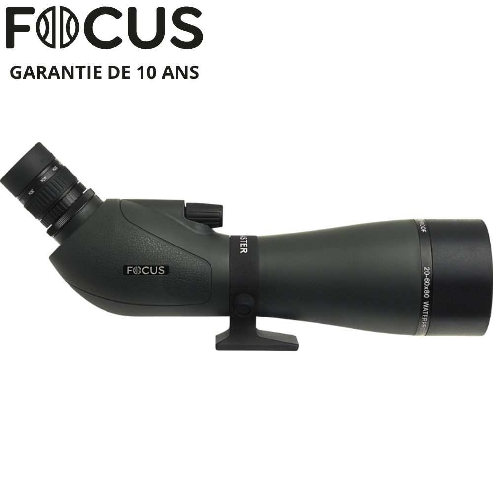 FOCUS VIEWMASTER.png