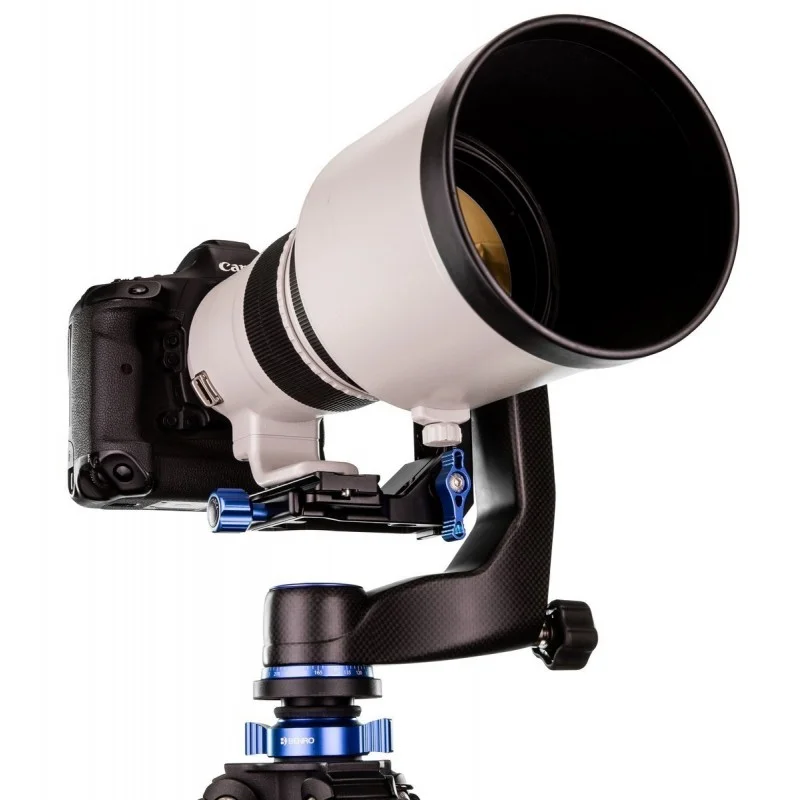 GH5C 3.jpg