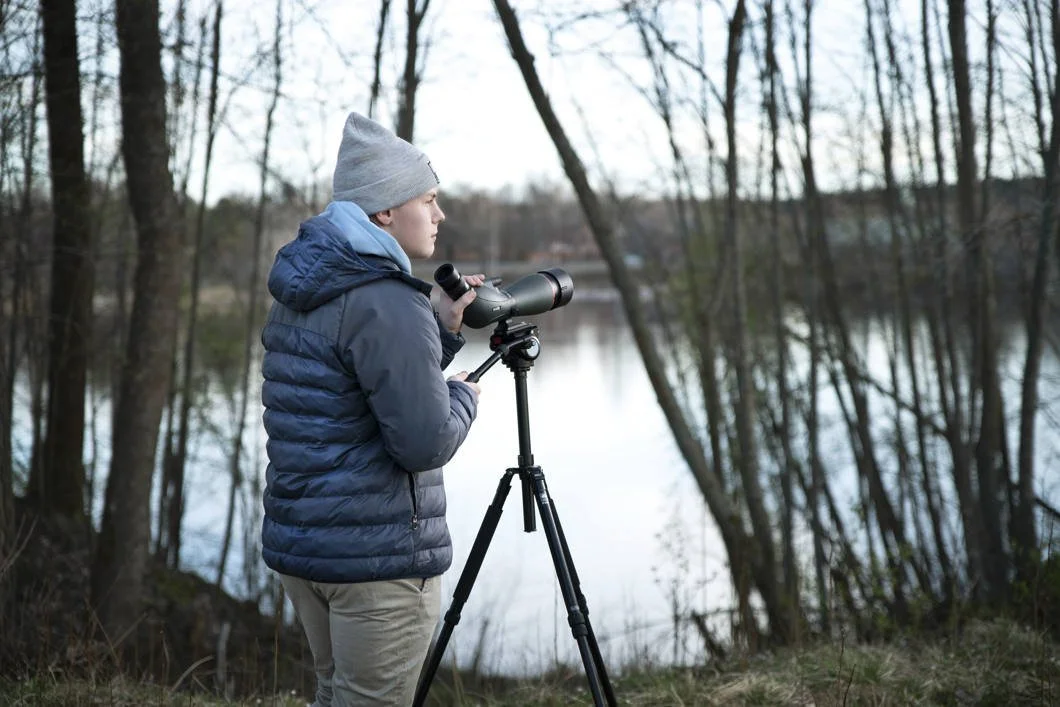 1060w-inspo_02_115635.jpg (copie)