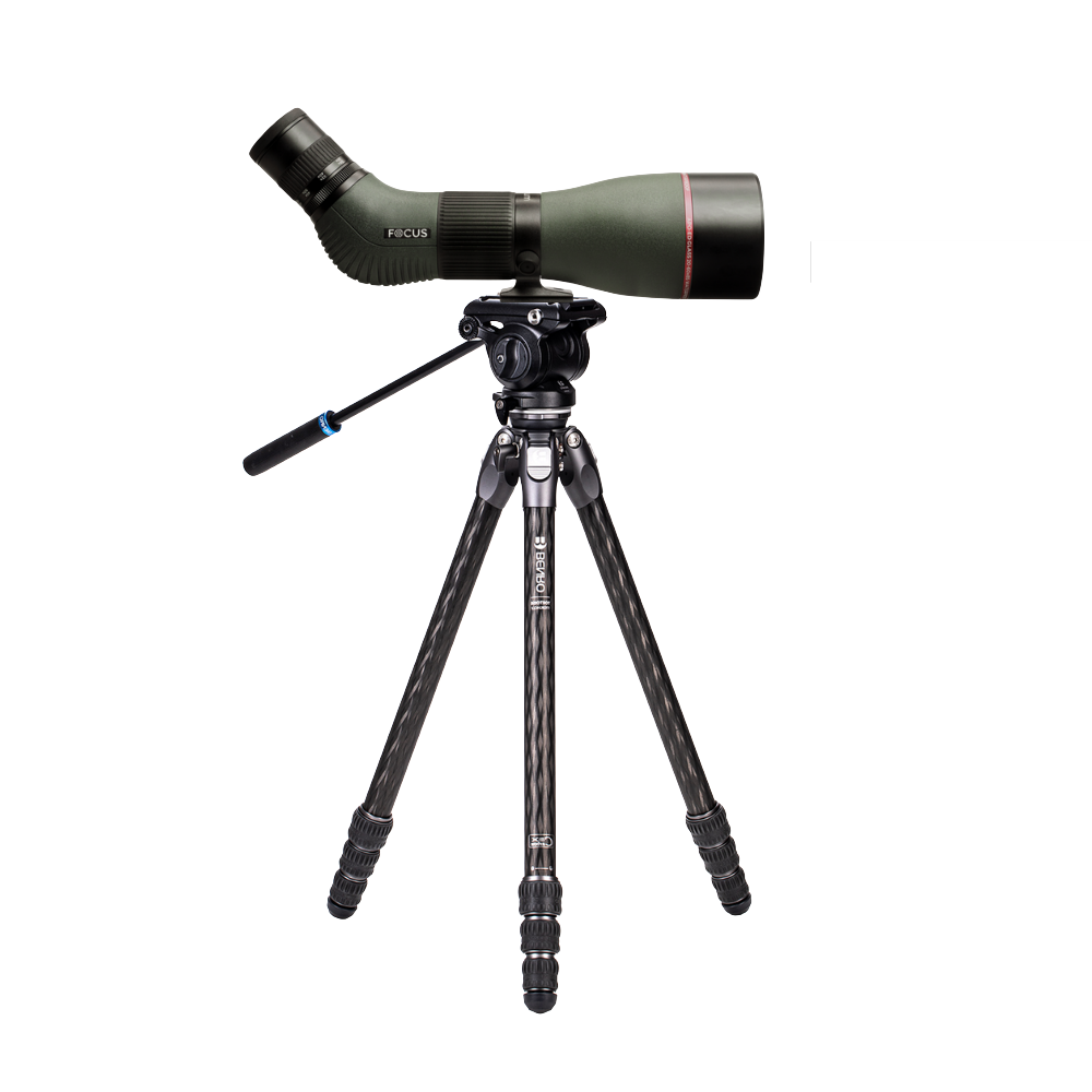 TTOR24CLVS4PROVIEWMASTER SS FOND.png