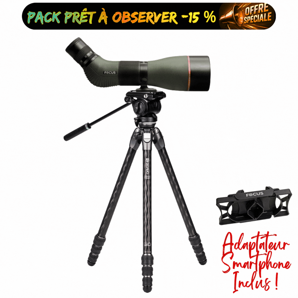 KIT OBSERVATION ANIMALIERE FOCUS SPORT OPTICS Lunette Optimum 20-60x80 APO ED et Kit Trépied BENRO TTOR24CLVS4PRO