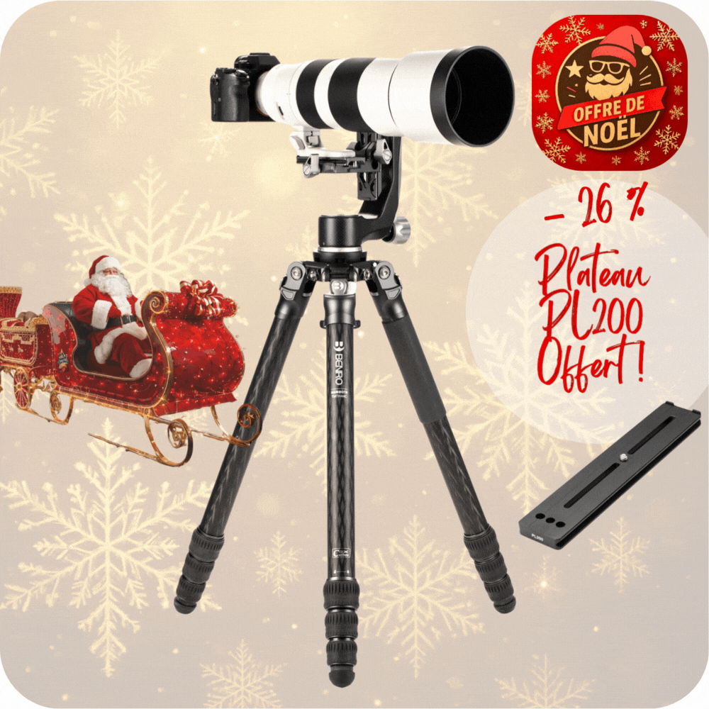 BENRO TMTH44CGH5C -26% AVEC PL200 OFFERT ! Trépied Mammoth Carbone Sans Colonne Série 4 4 sections avec Tête Pendulaire BENRO GH5C 3,35 Kg Capacité 25 Kg  71,5 cm plié