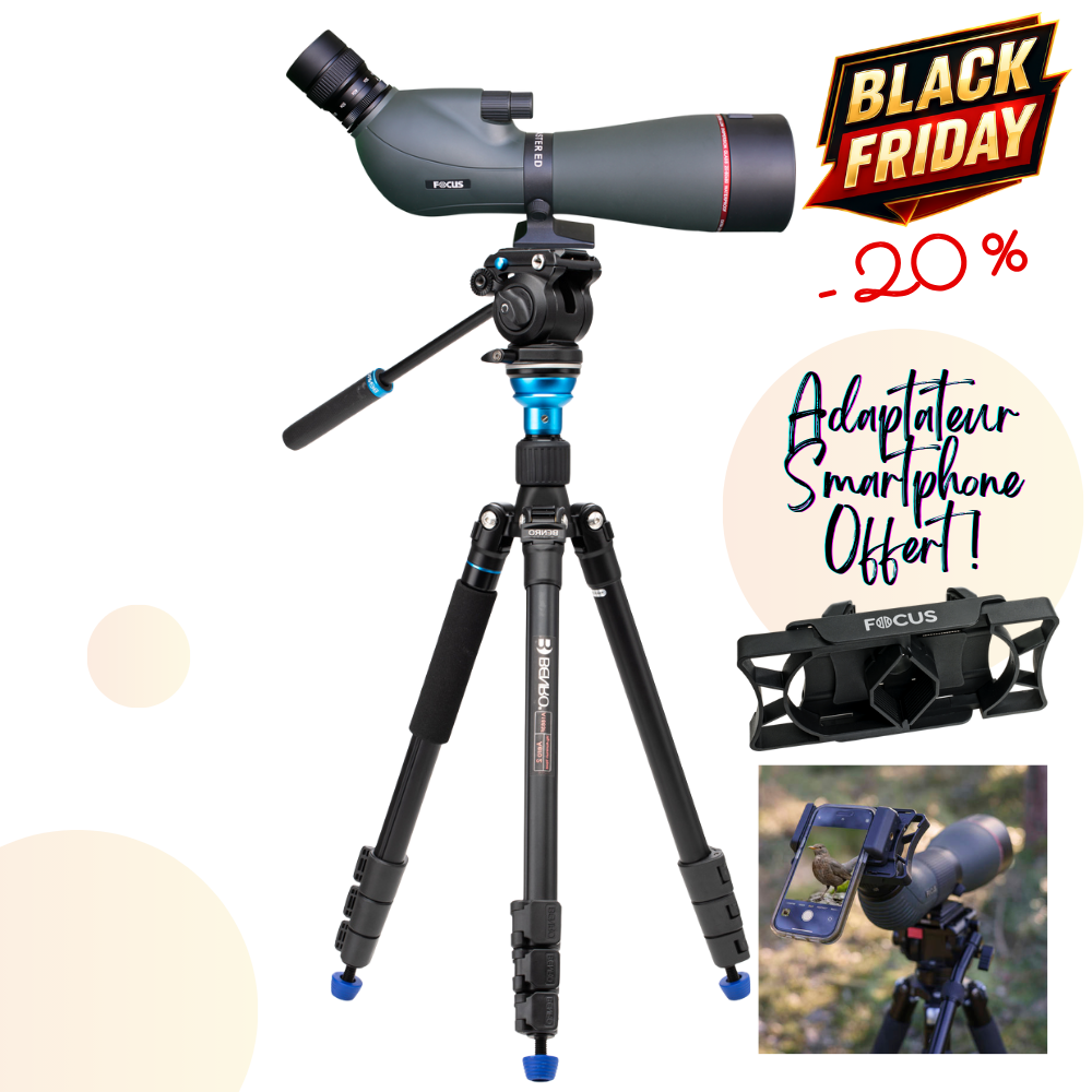 KIT OBSERVATION ANIMALIERE FOCUS SPORT OPTICS Lunette Viewmaster 20-60x80 WP Lentille ED et Kit Trépied BENRO AERO2