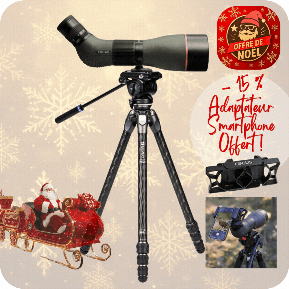KIT OBSERVATION ANIMALIERE FOCUS SPORT OPTICS Lunette Optimum 20-60x80 APO ED et Kit Trépied BENRO TTOR24CLVS4PRO