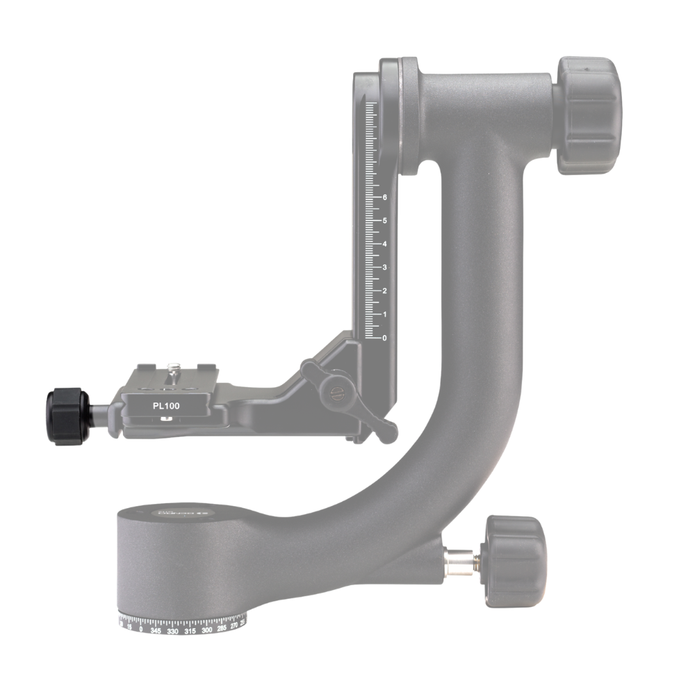 COLLIER gh2.png