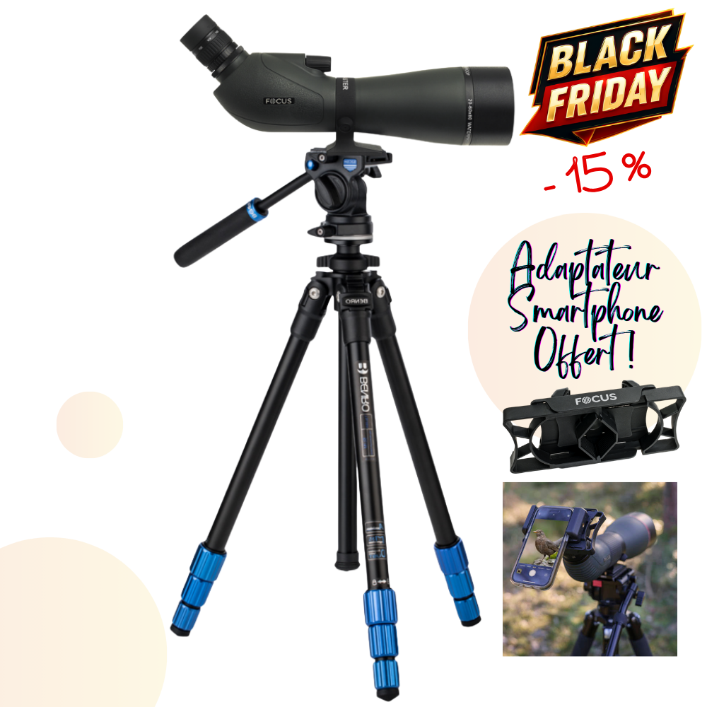 KIT OBSERVATION ANIMALIERE FOCUS SPORT OPTICS Lunette Viewmaster 20-60x80 WP et Kit Trépied BENRO TSL08AS2CSH