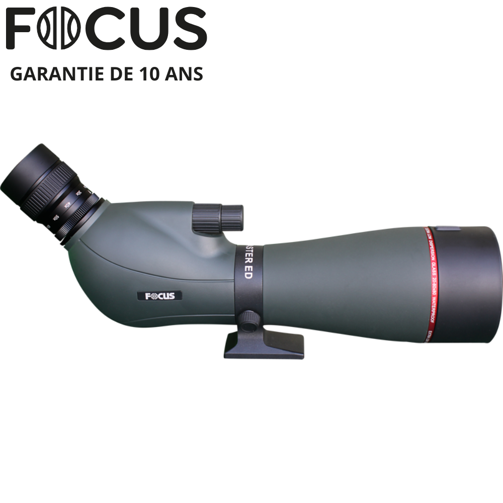 FOCUS_ViewmasterEDWP_20-60x80 1.png