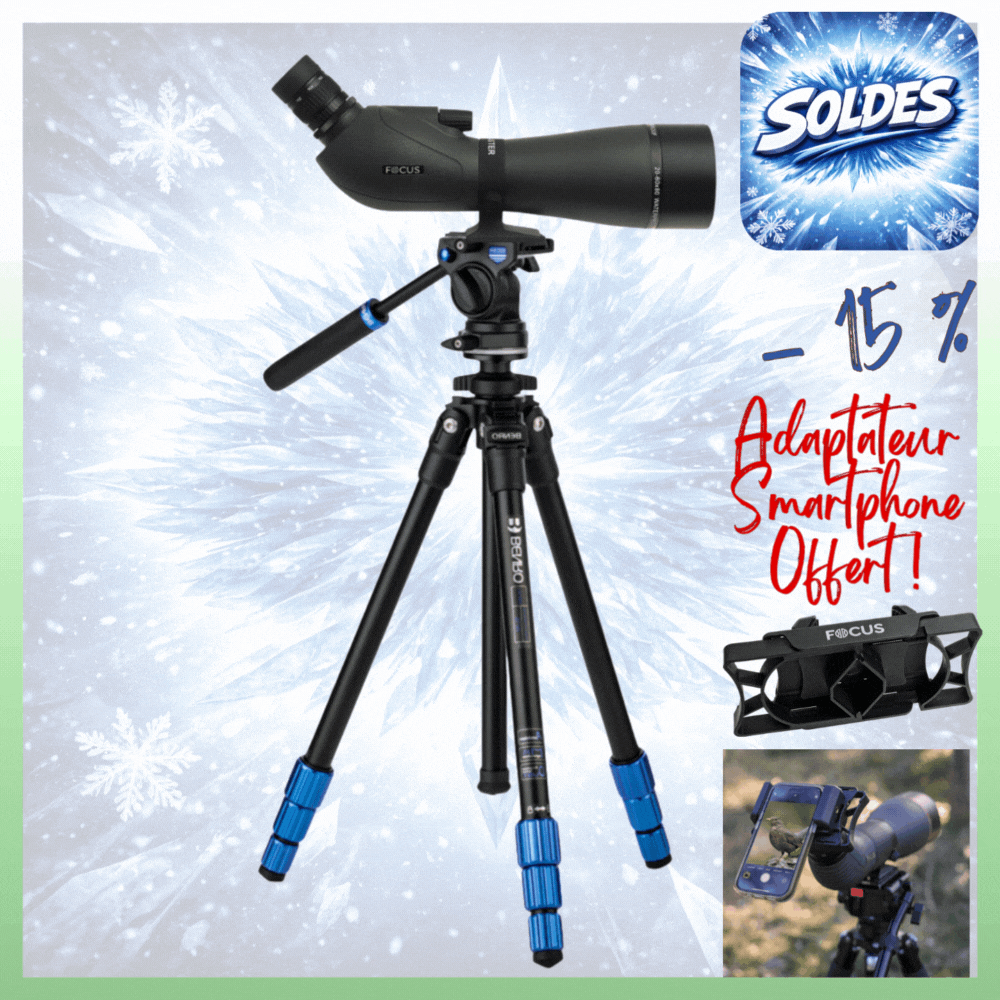 KIT OBSERVATION ANIMALIERE FOCUS SPORT OPTICS Lunette Viewmaster 20-60x80 WP et Kit Trépied BENRO TSL08AS2CSH