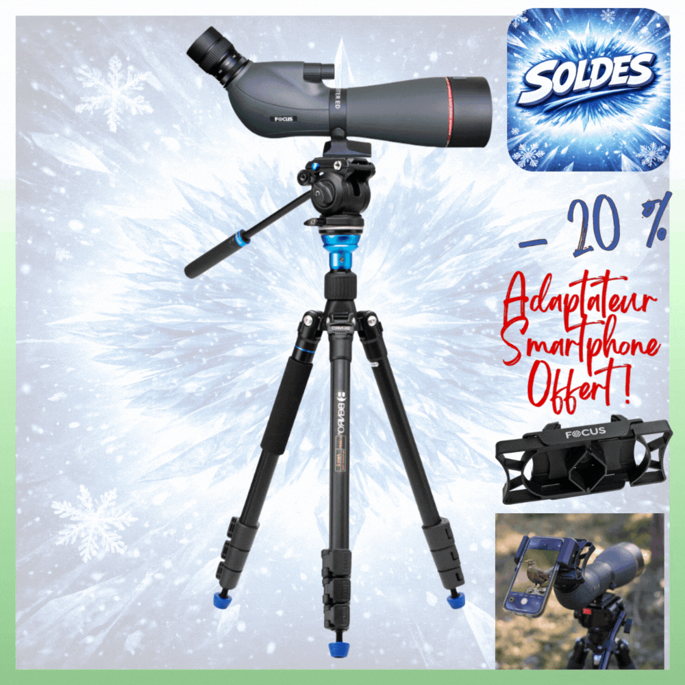 KIT OBSERVATION ANIMALIERE FOCUS SPORT OPTICS Lunette Viewmaster 20-60x80 WP Lentille ED et Kit Trépied BENRO AERO2