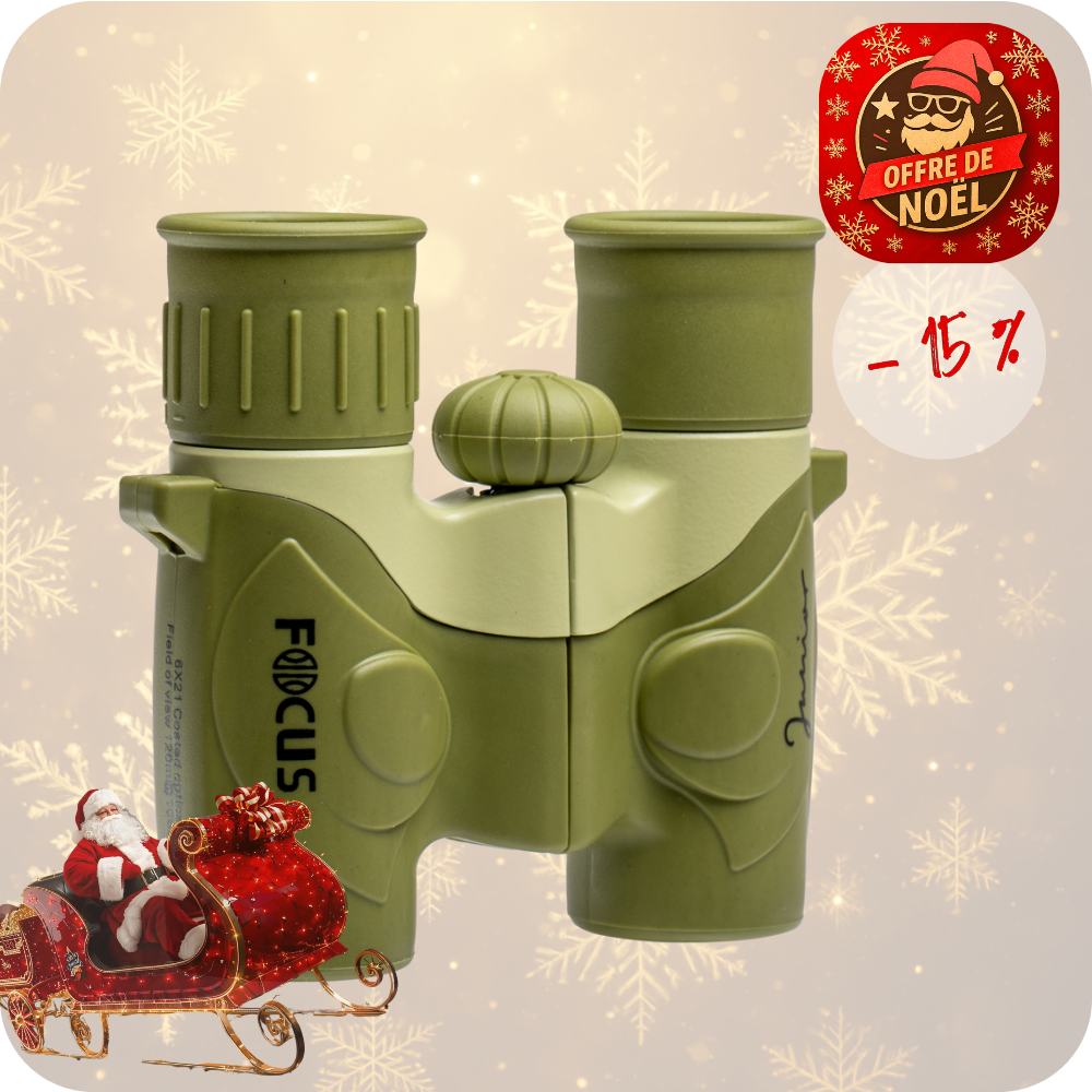 focus VERT OFFRE NOEL seul.png