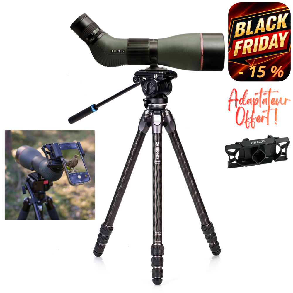 TTOR24CLVS4PRO OPTIMUM v5.png