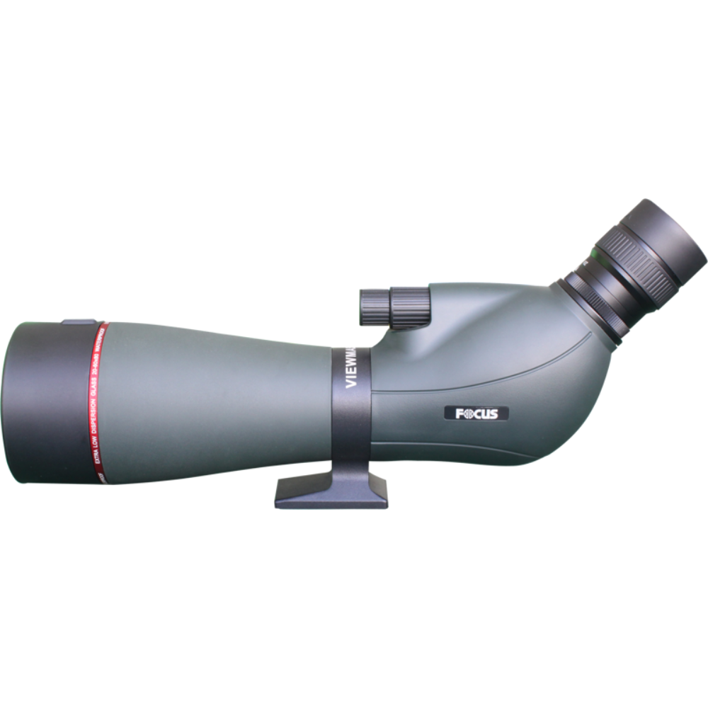 FOCUS_ViewmasterEDWP_20-60x80 3.png