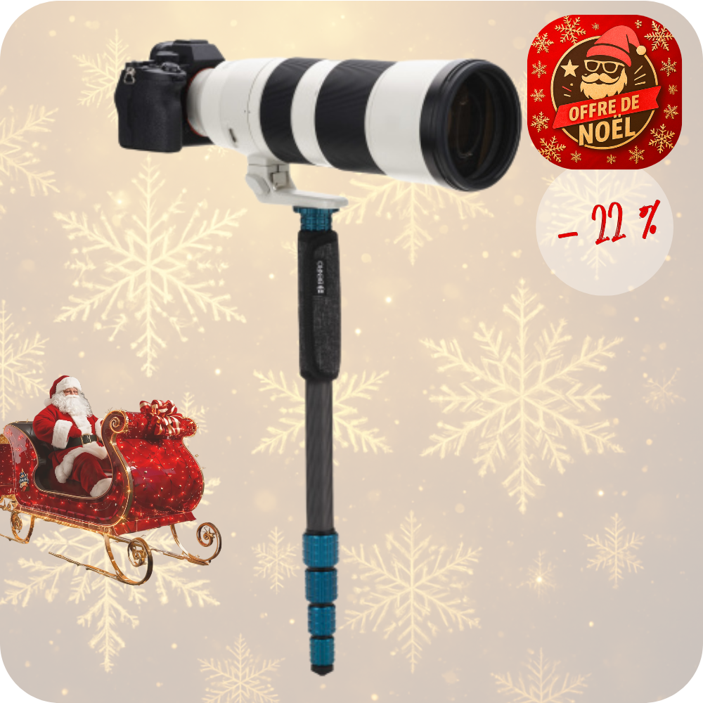 BENRO MSSL09C -22% ! SUPERSLIM Monopode Carbone 5 sections - 280 g Capacité 15 Kg 41,7 cm replié hmax 148,8 cm