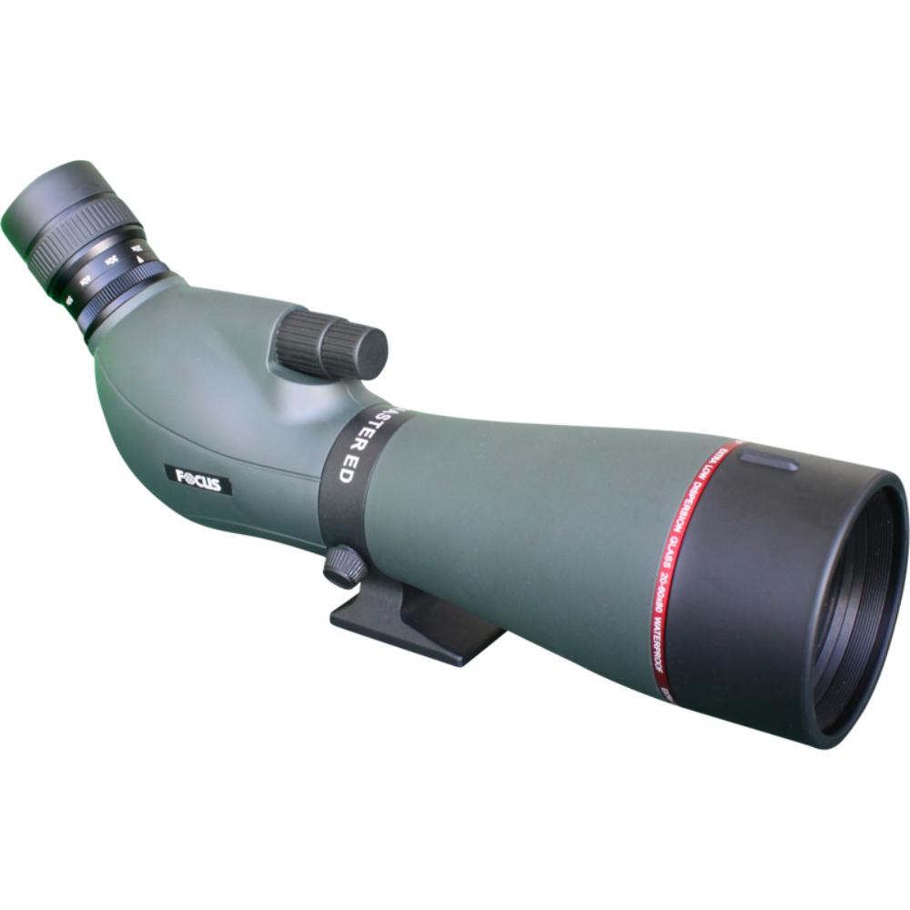 FOCUS_ViewmasterEDWP_20-60x80 4.png