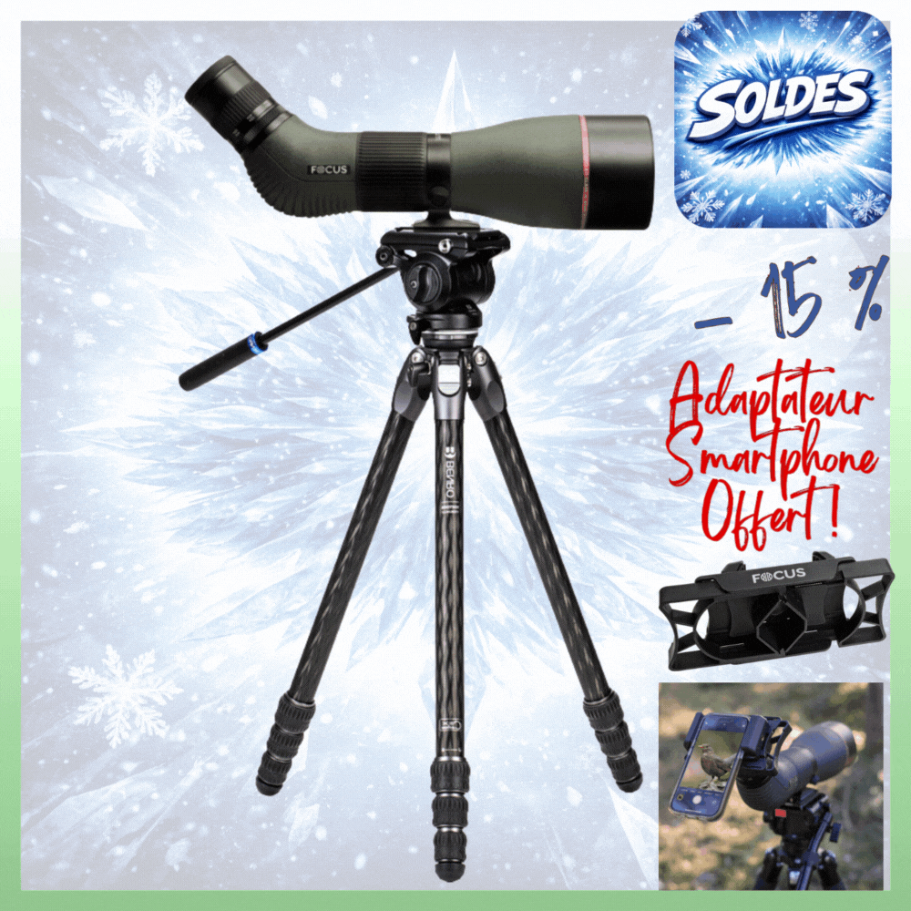 KIT OBSERVATION ANIMALIERE FOCUS SPORT OPTICS Lunette Optimum 20-60x80 APO ED et Kit Trépied BENRO TTOR24CLVS4PRO