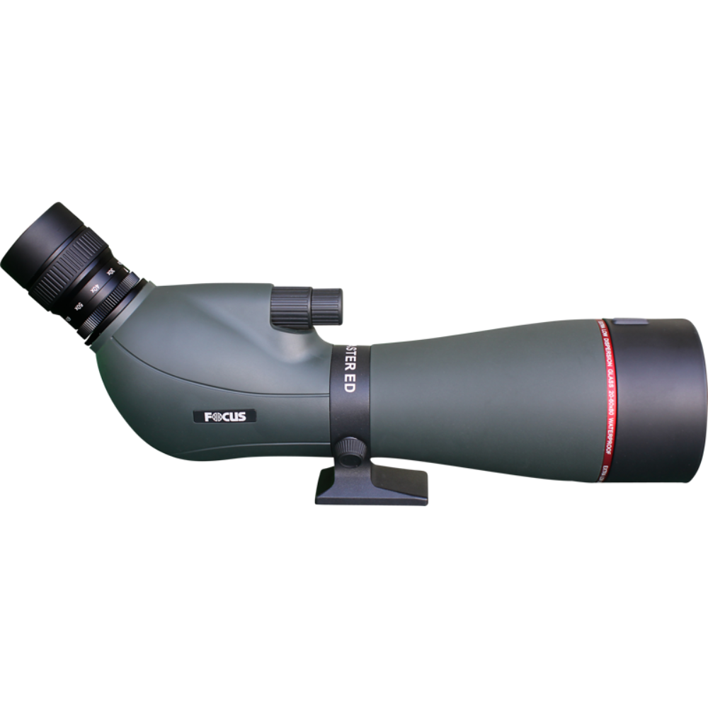 FOCUS_ViewmasterEDWP_20-60x80 2.png