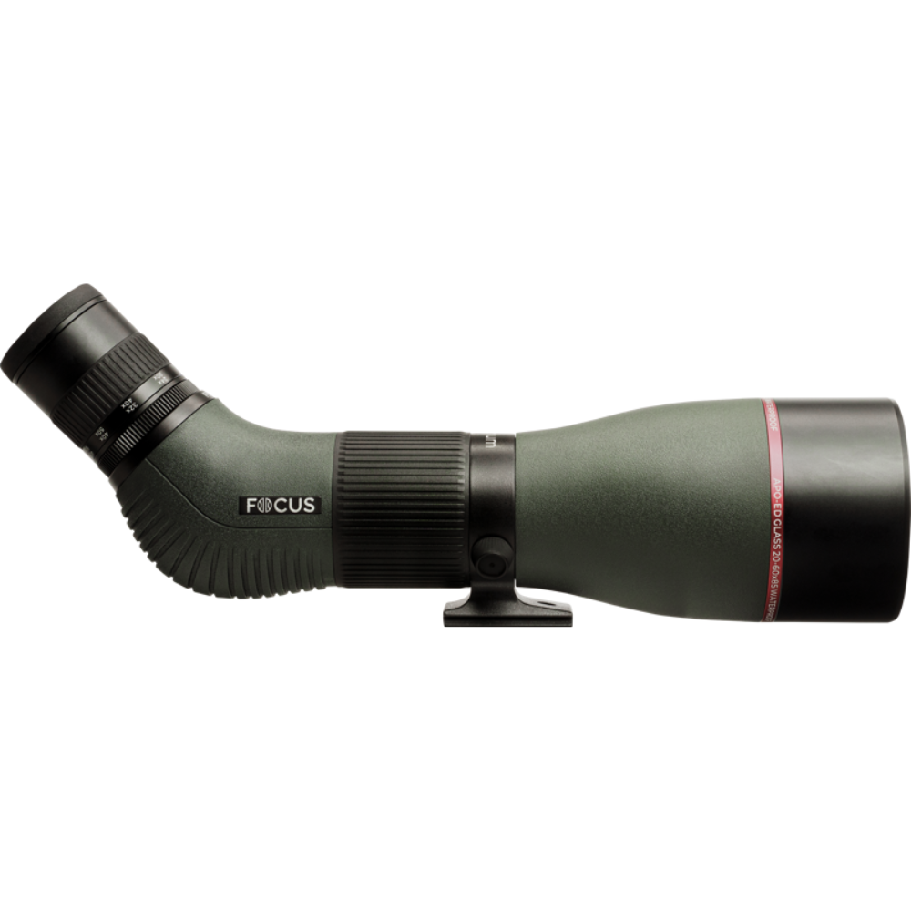 FOCUS_OptimumAPOED_20-60x85 1.png