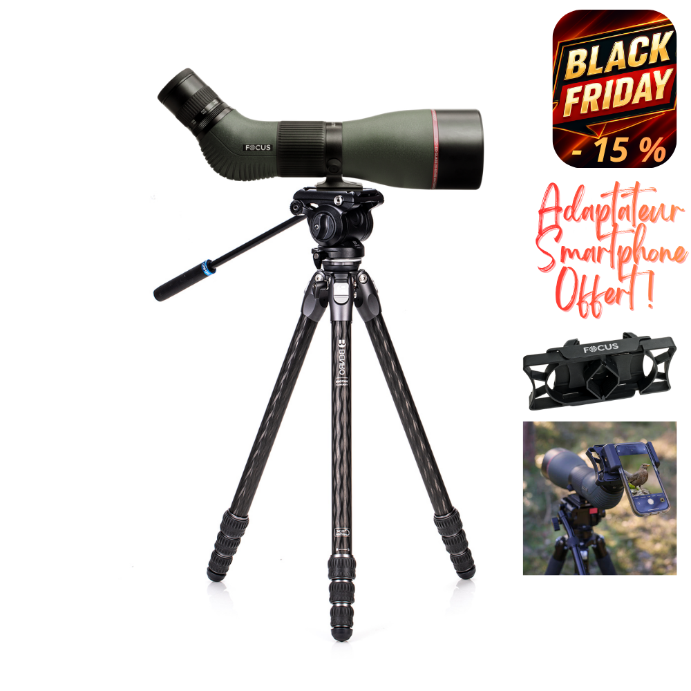 TTOR24CLVS4PRO OPTIMUM v7.png