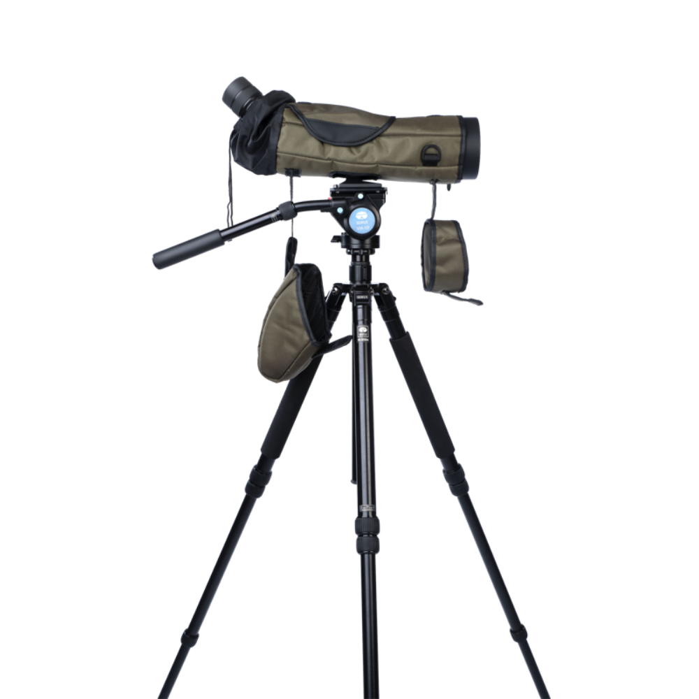 FOCUS_ViewmasterEDWP_20-60x80 6.png