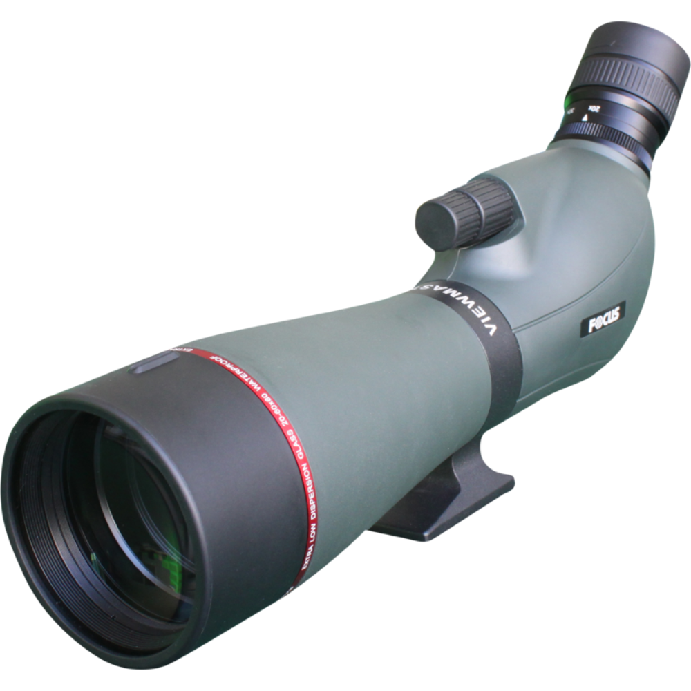 FOCUS_ViewmasterEDWP_20-60x80 5.png