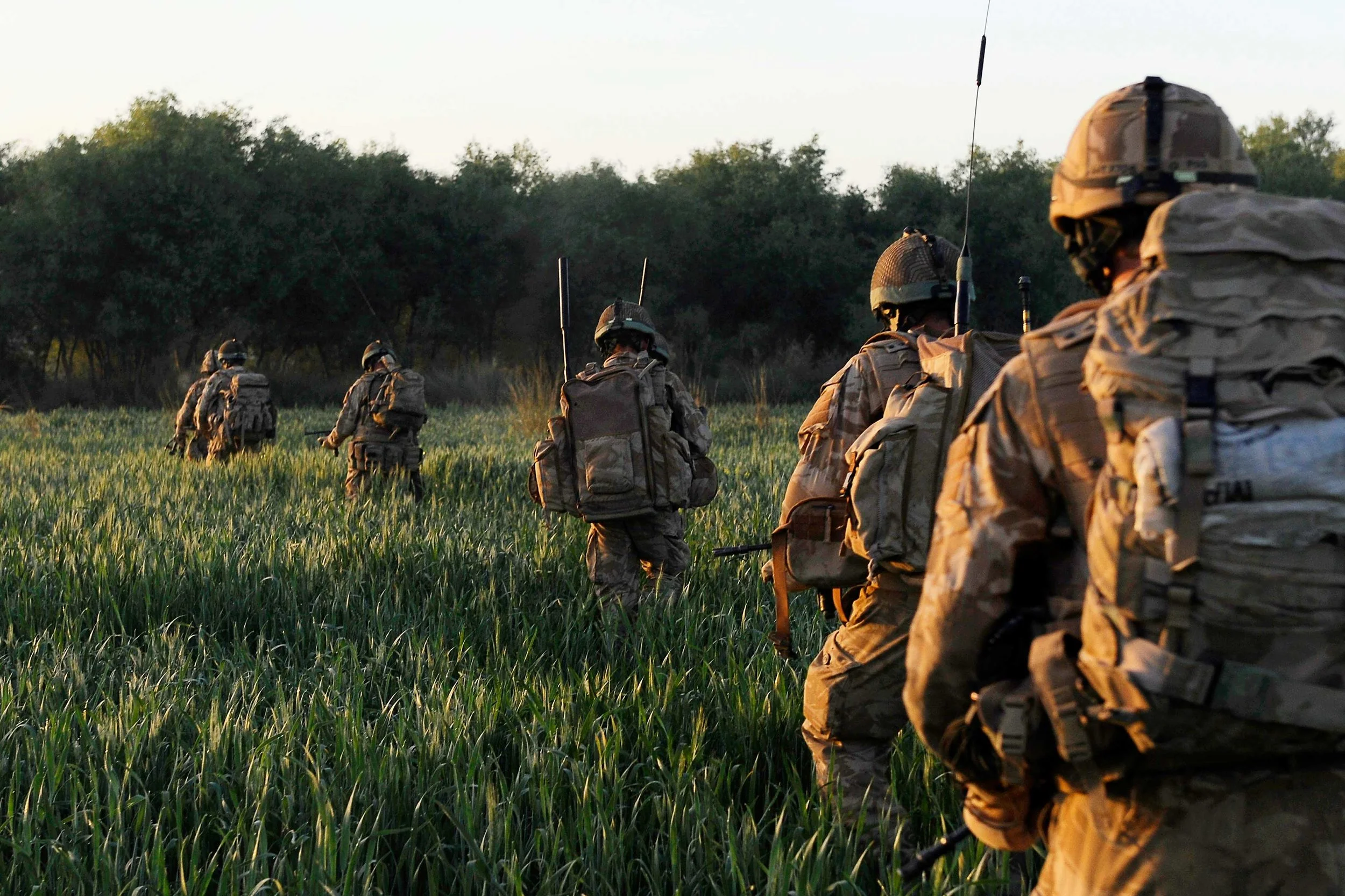 Foreign-Fields.jpg