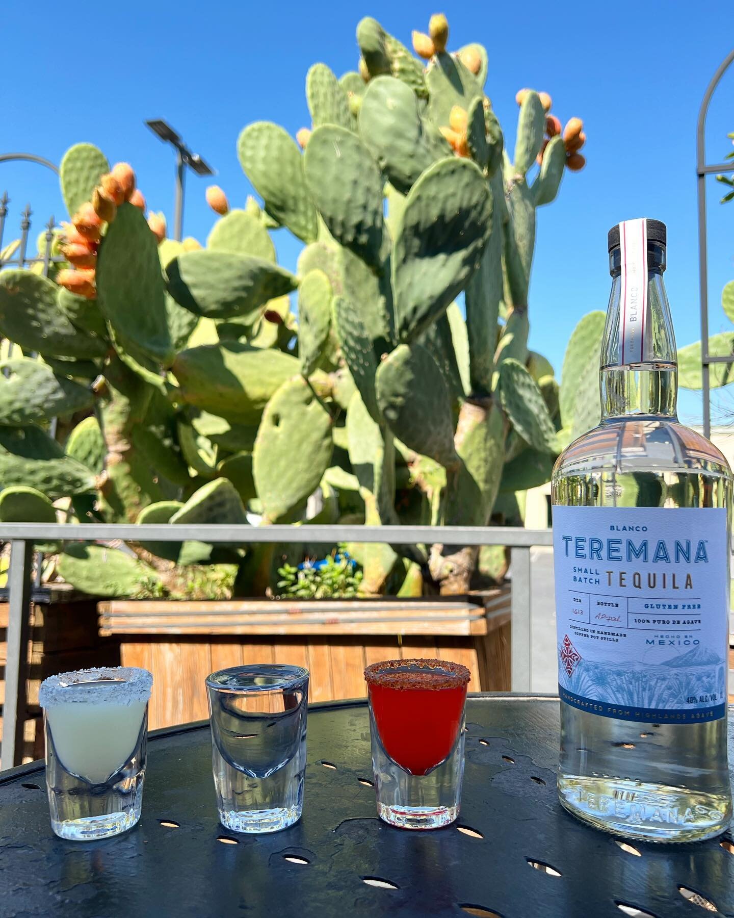 Celebrate 16 de Septiembre (Mexican Independance Day) at Guadalajara Grill this Saturday!

New special to commemorate the day will be &ldquo;Bandera&rdquo; - classic festive drink featuring three shots that when combined form the vibrant Mexican flag