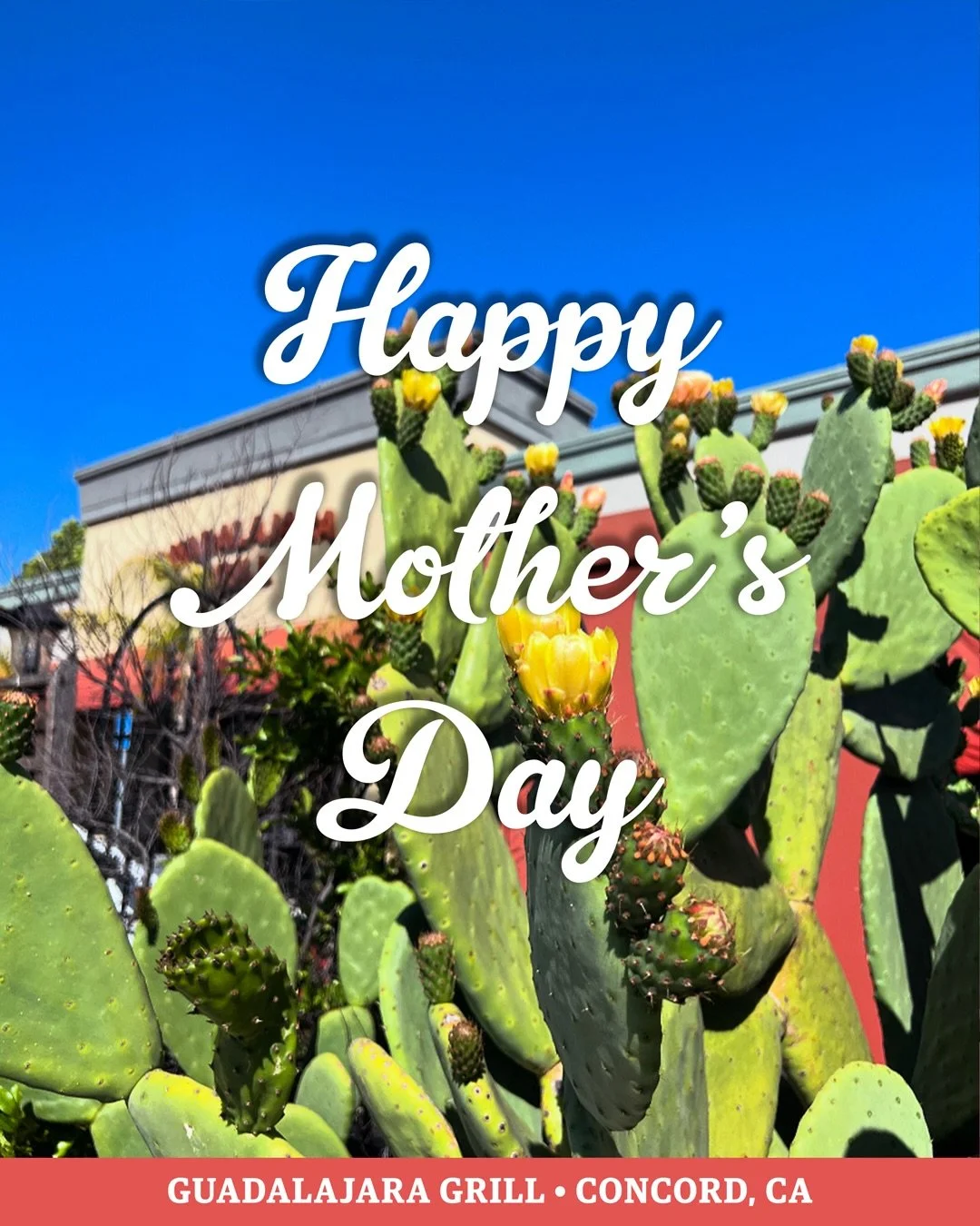 Feliz D&iacute;a de las Madres/ Happy Mother&rsquo;s Day!
This year, Mother&rsquo;s Day in Mexico falls on the same day as Mother&rsquo;s Day in the US! Celebrate big at the Grill this Sunday! 💐❤️

#hotplatehotplate #guadgrill #mothersday #diadelasm