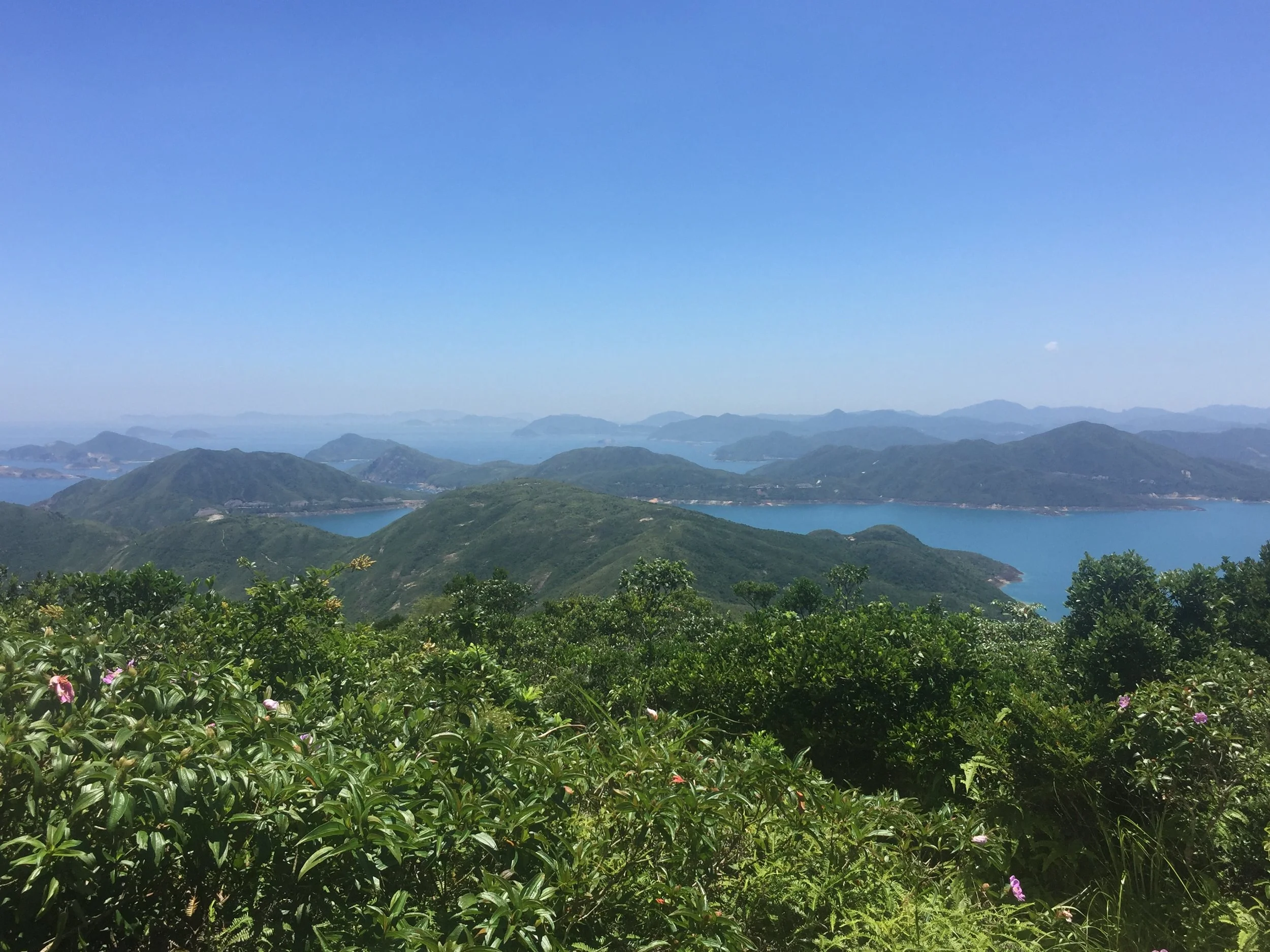 2016-07-24 13.02.00.jpg
