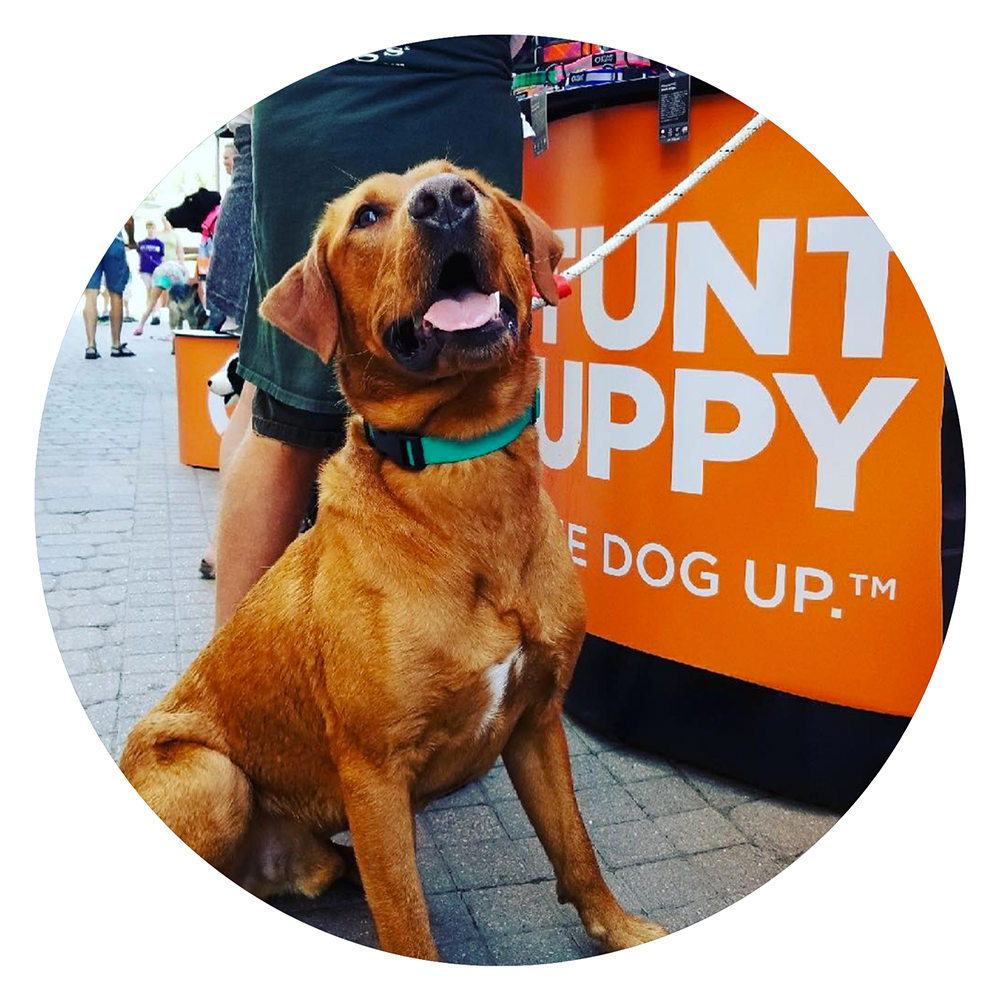 UserProfilePics_StuntPuppy.png