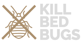 Kill Bed Bugs Dallas