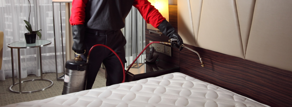 Bed Bug Exterminator Chicago